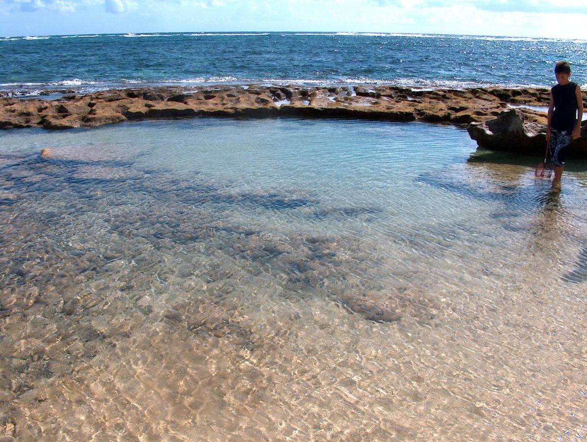 Вилла Itʻs All About The Beach Hau'ula Экстерьер фото